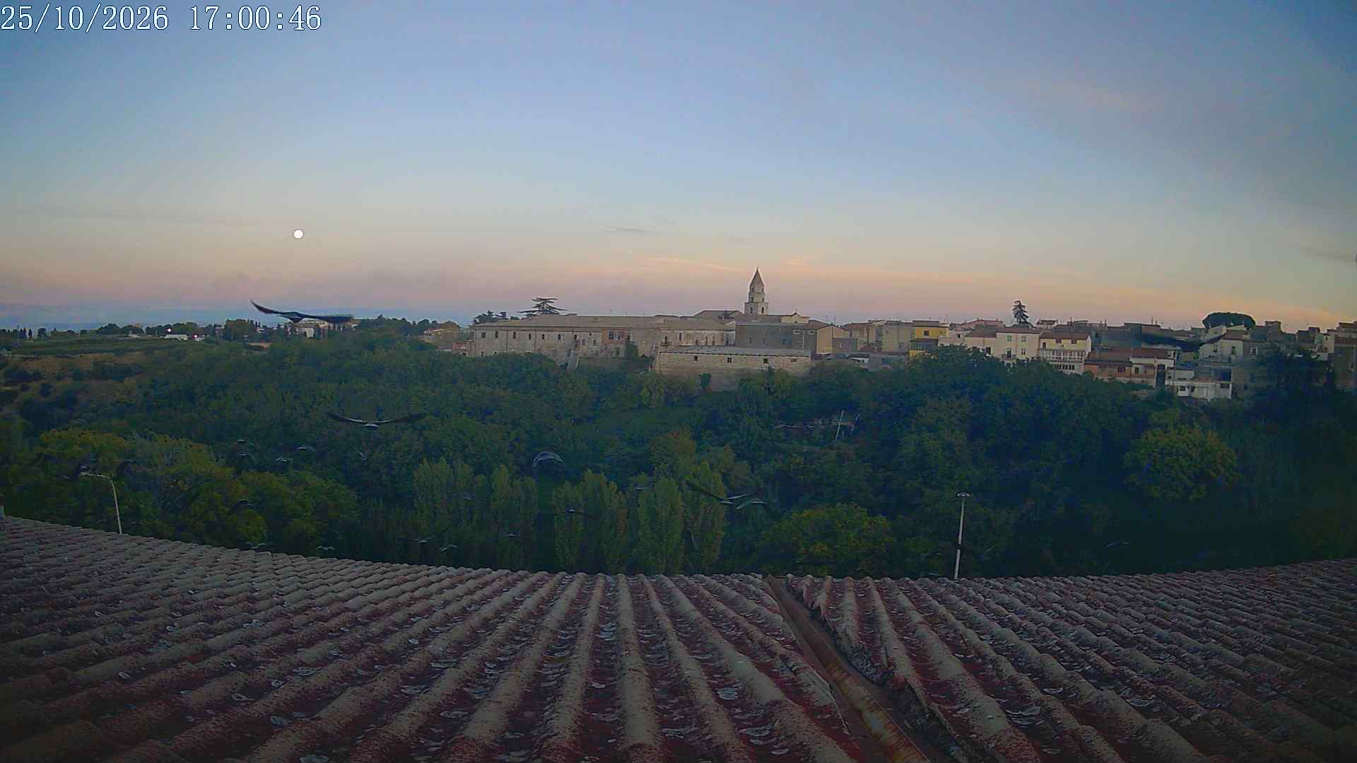 Archivio Venosa 17:00