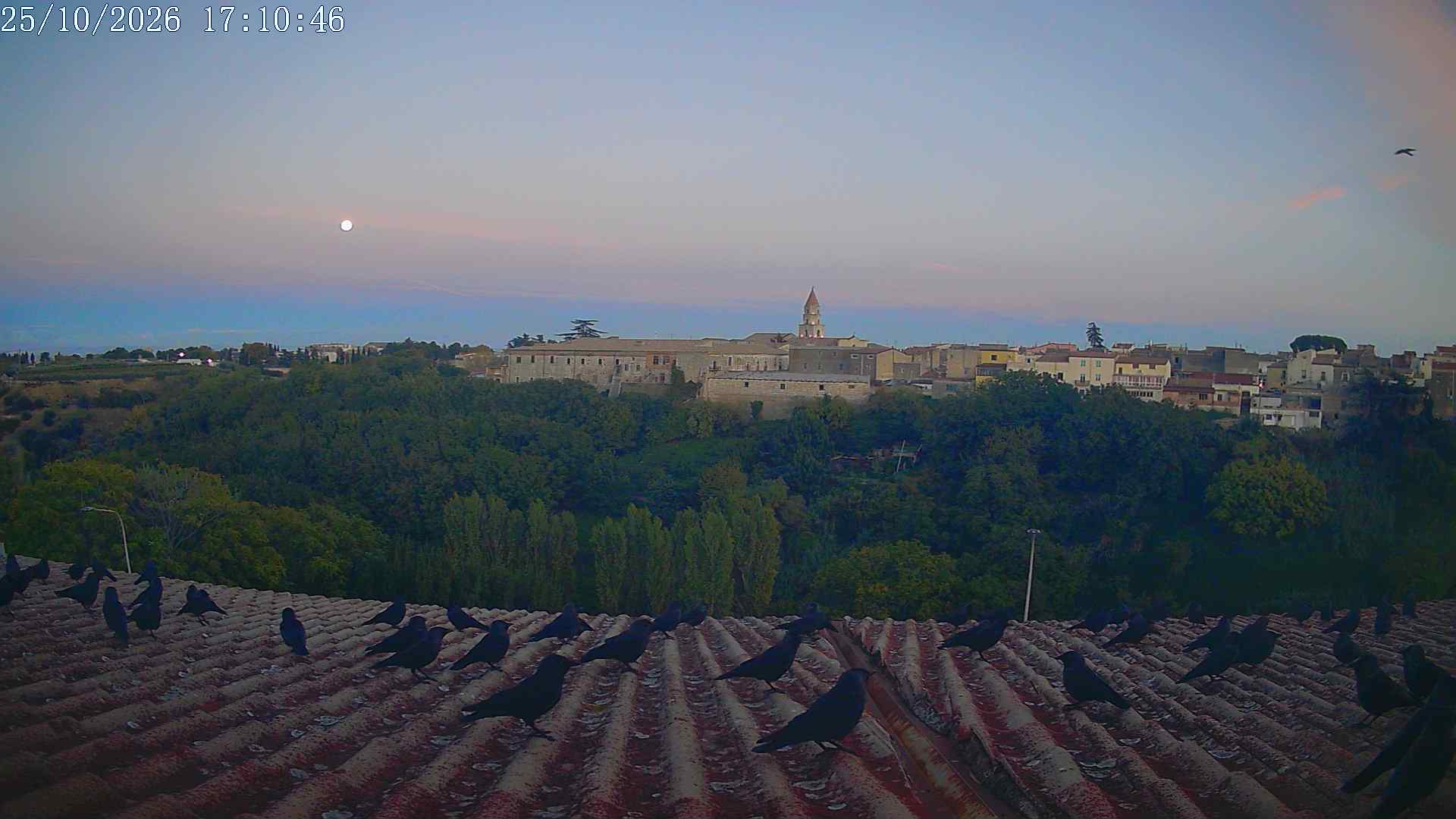 Archivio Venosa 17:10